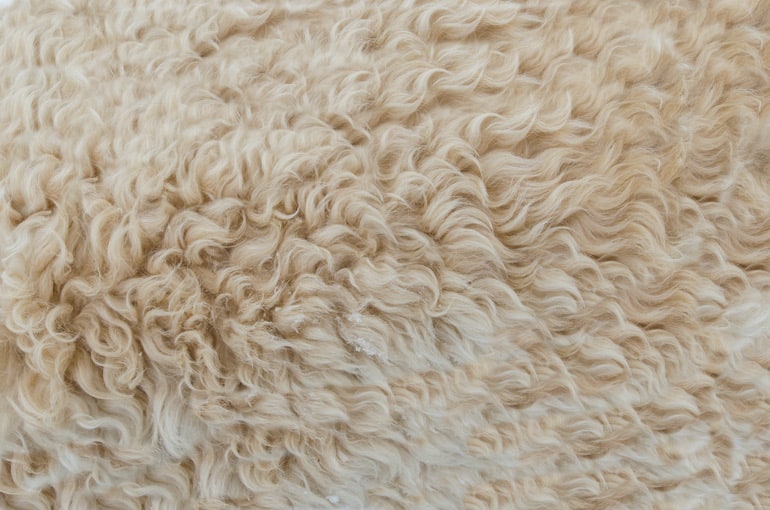 Are wool fabrics waterproof